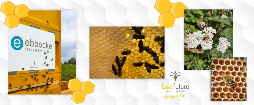 Ebbecke Verfahrenstechnik Bienen Flyer