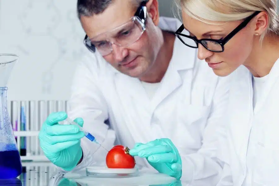 Ebbecke Verfahrenstechnik Lebensmittel Verarbeitung