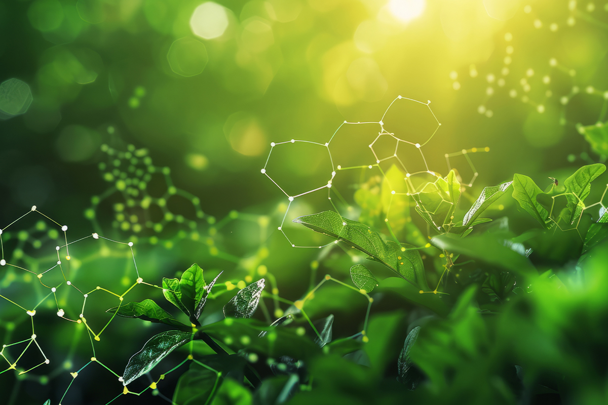 Ebbecke green technology Natur