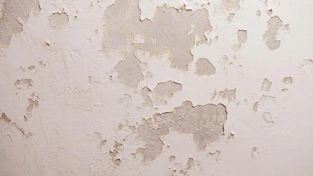 Ebbecke Verfahrenstechnik Kappilarfeuchte Schäden an Wand